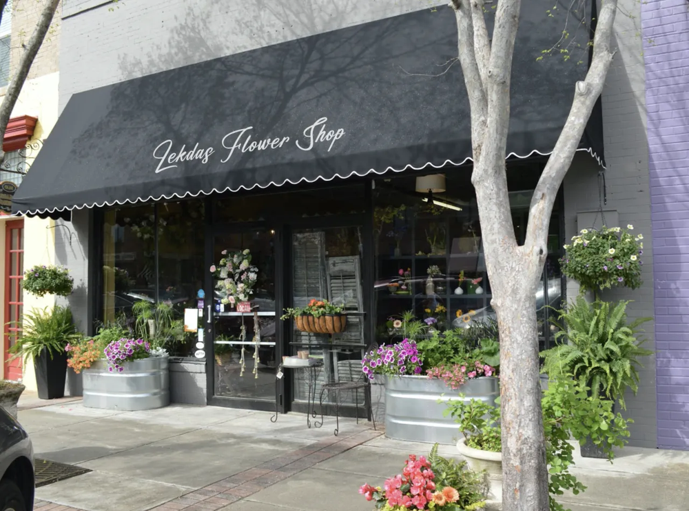 🔥 On Sale Only Today 🌱 UV-Resistant Lifelike Artificial Boston Fern (38 leaves 1 branch)